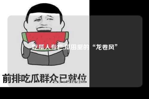 吃瓜人专栏,瓜田里的“龙卷风”