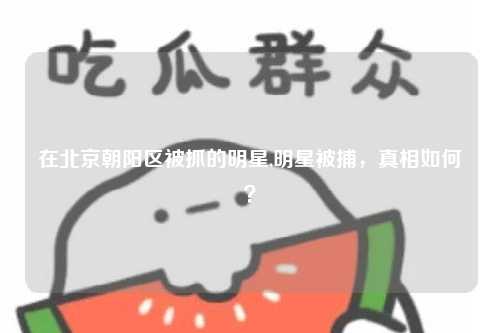 在北京朝阳区被抓的明星,明星被捕，真相如何？